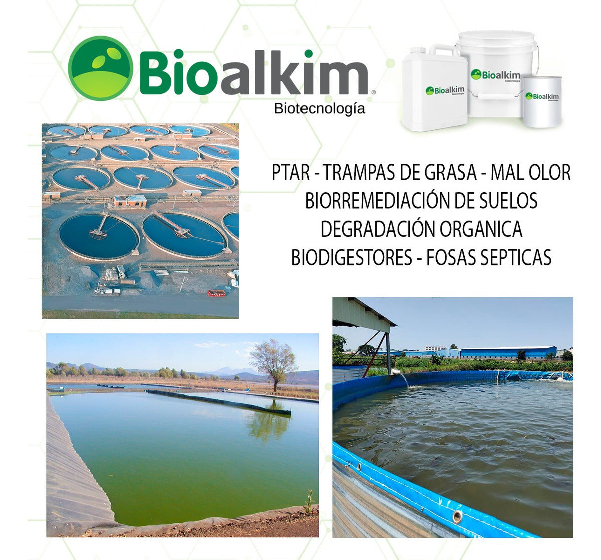 4kg - Bioalkim TGD Bacterias Tratamiento Séptico